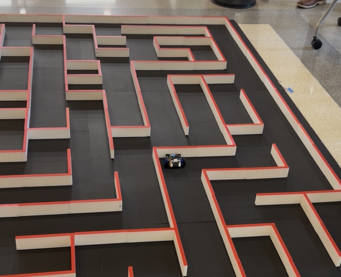 Mouse attempting to solve the maze